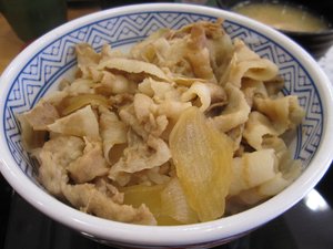 20100115_yoshinoyabutadon